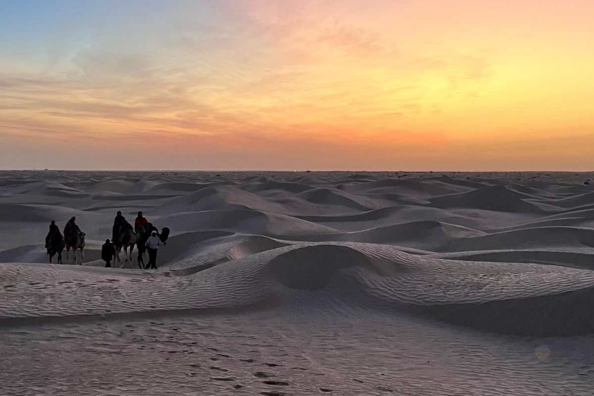 Paysage du Chott el Djerid, étape spectaculaire des circuits longue durée